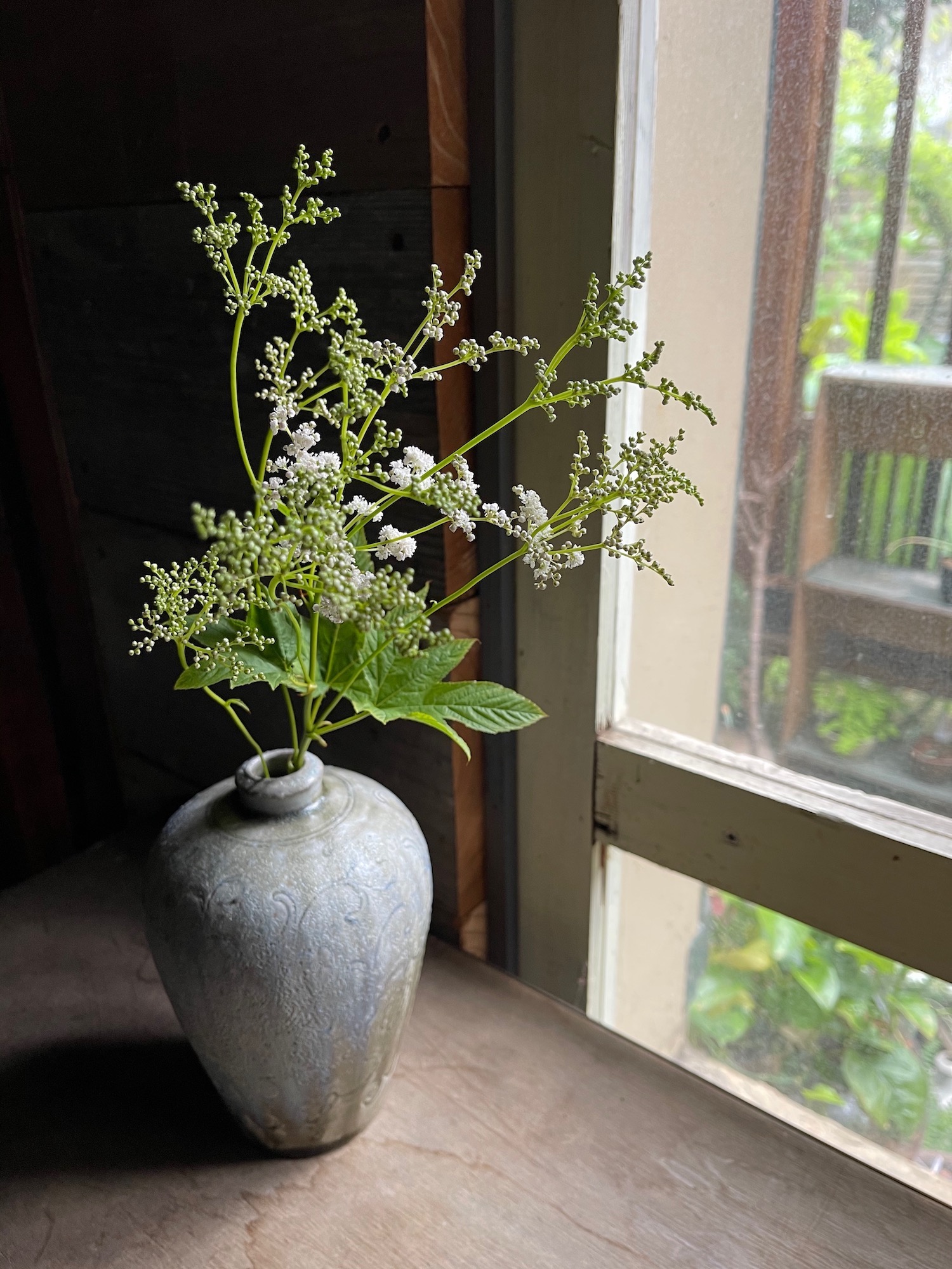 placeholder image-wide